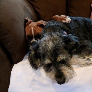 Meet your Posher, Janet